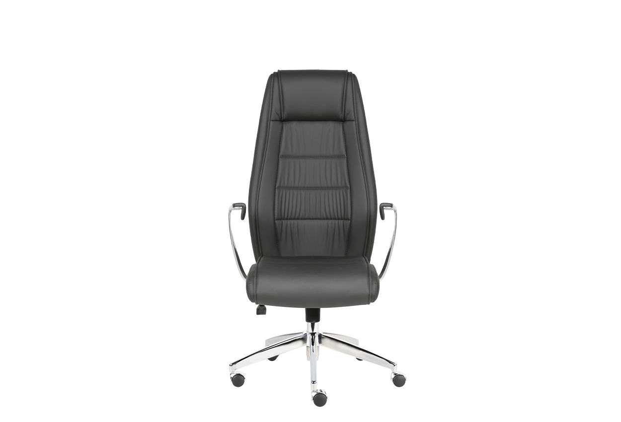 Bayer Executive Chair 210051201