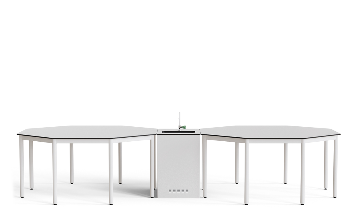 Kore Biyoloji Öğrenci Masası 40204-C