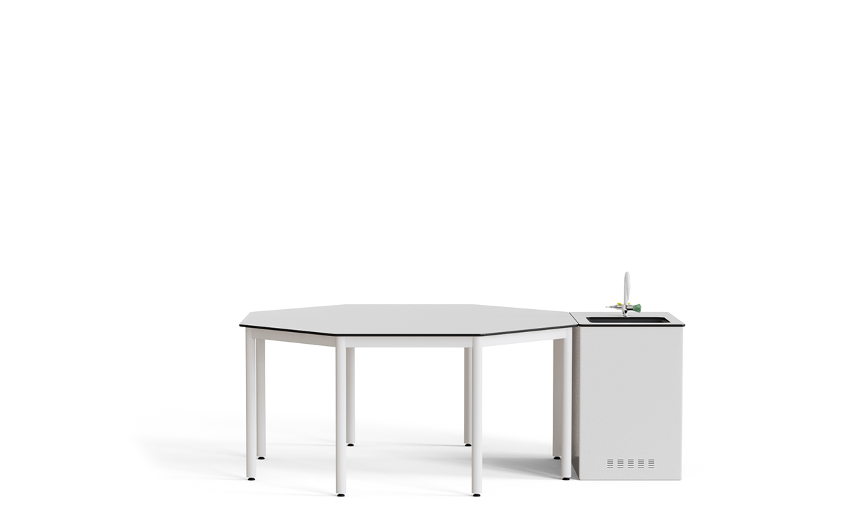 Kore Kimya Öğrenci Masası 40203-C