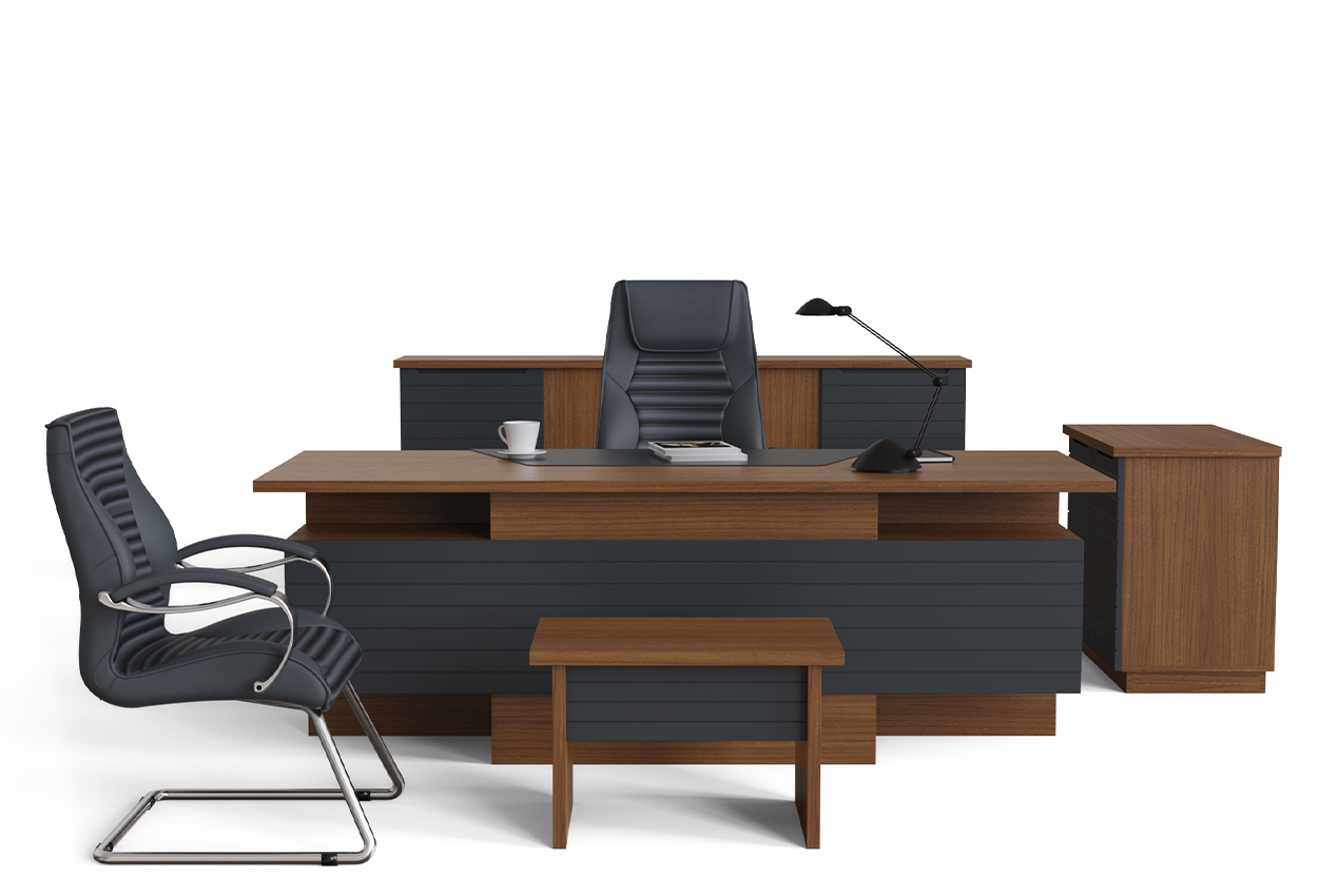 Fuji Executive Set 203020