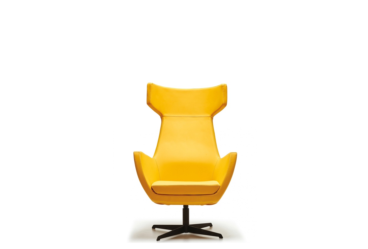 Tesla Bergere 2170502